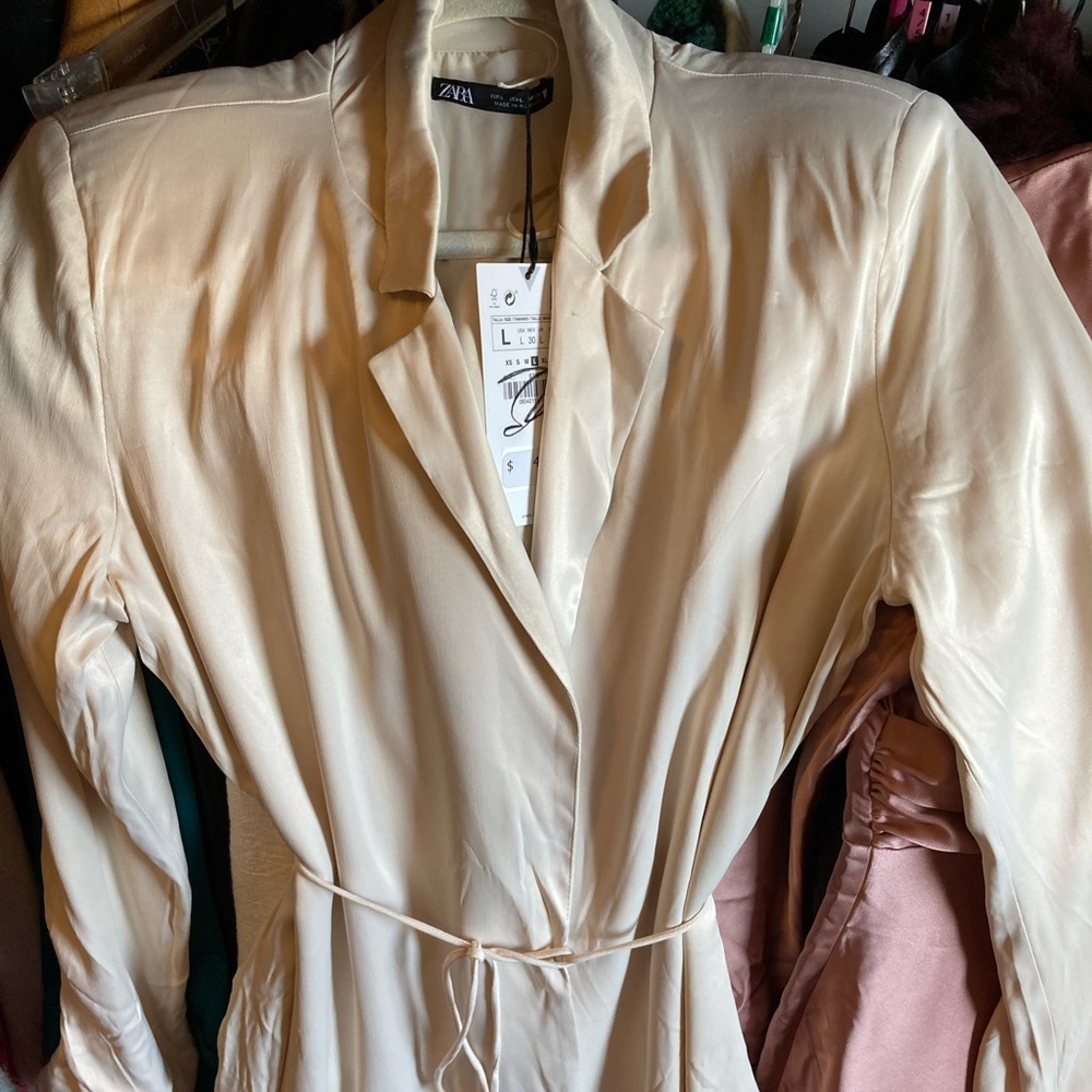 Zara Dress Large NWT